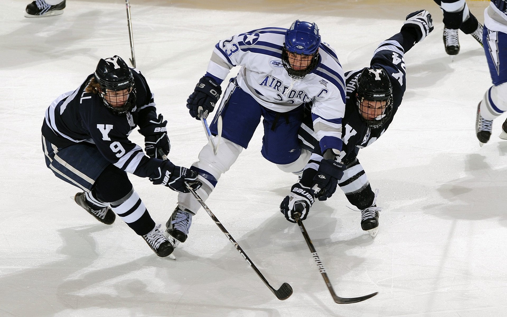全运会赛事服务标准接轨国际,全运会赛事项目及赛点